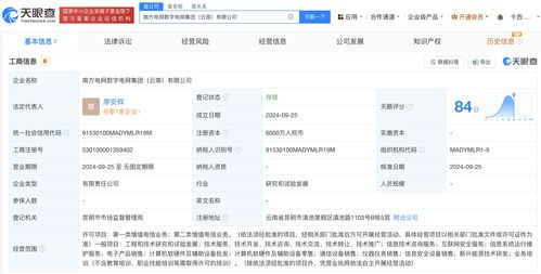 南方電網數字電網集團云南公司正式成立，注冊資本達6000萬元