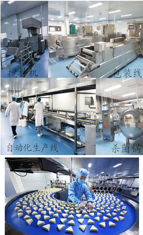 疫情不阻扶貧路 森樂食品保業增收與文物保護工程設計